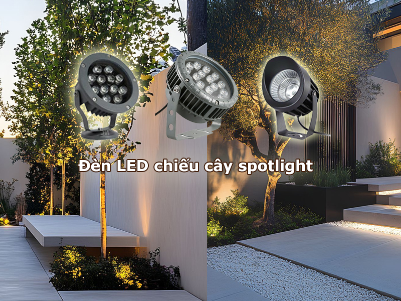 Đèn chiếu cây spotlight