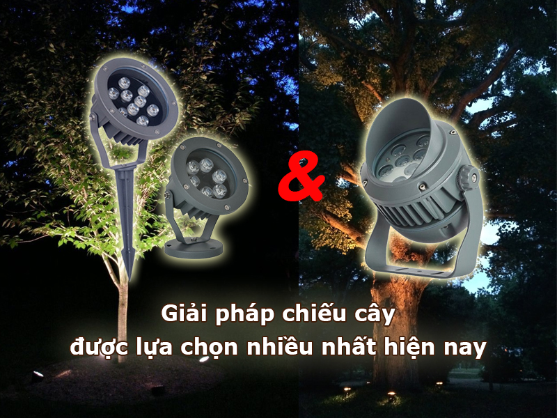 2 giải pháp chiếu cây được lựa chọn nhiều nhất hiện nay
