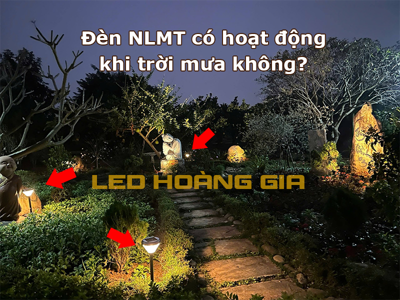 Đèn NLMT có hoạt động khi trời mưa không
